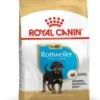 Royal Canin Rottweiler Puppy Hondenvoer 12kg -Dierenwinkel Royal Canin Breed Health Nutrition Rottweiler Puppy