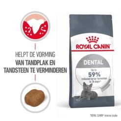 Royal Canin Dental Care Kattenvoer 8kg -Dierenwinkel Royal Canin Dental Care Kat NL 01 1