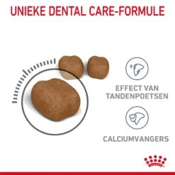 Royal Canin Dental Care Kattenvoer 8kg -Dierenwinkel Royal Canin Dental Care Kat NL 04 1