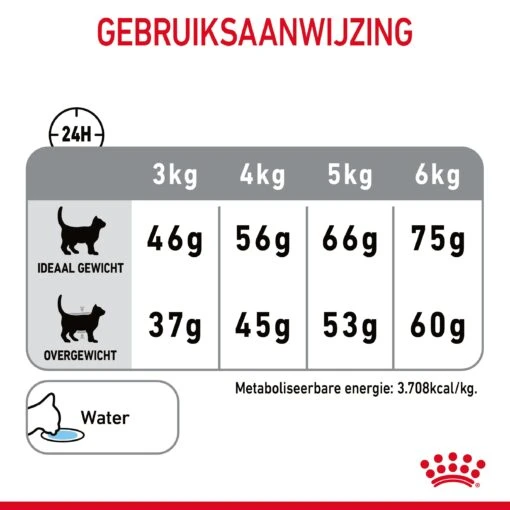 Royal Canin Dental Care Kattenvoer 8kg -Dierenwinkel Royal Canin Dental Care Kat NL 08 1