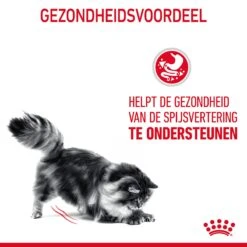 Royal Canin Digestive Care Kattenvoer 10kg -Dierenwinkel Royal Canin Digestive Care Kat NL 07