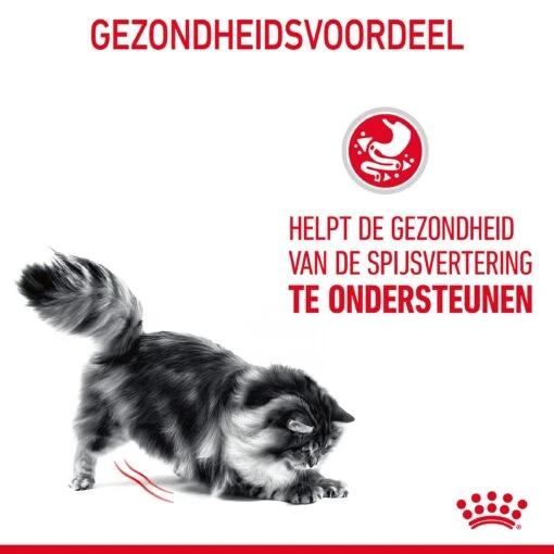 Royal Canin Digestive Care Kattenvoer 10kg -Dierenwinkel Royal Canin Digestive Care Kat NL 07