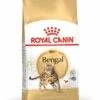 Royal Canin Bengal Adult Kattenvoer 2kg -Dierenwinkel Royal Canin Feline Breed Nutrition Bengal Cat