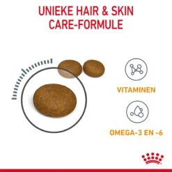 Royal Canin Hair & Skin Care Kattenvoer 10kg -Dierenwinkel Royal Canin Hair Skin Care Kat NL 05 1