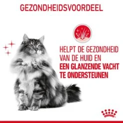 Royal Canin Hair & Skin Care Kattenvoer 10kg -Dierenwinkel Royal Canin Hair Skin Care Kat NL 07 1