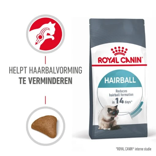 Royal Canin Hairball Care Kattenvoer 2kg -Dierenwinkel Royal Canin Hairball Care Kat NL 01 1