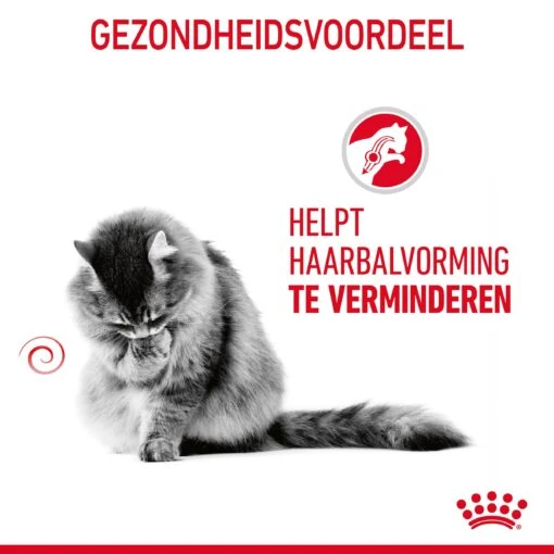 Royal Canin Hairball Care Kattenvoer 2kg -Dierenwinkel Royal Canin Hairball Care Kat NL 07 1