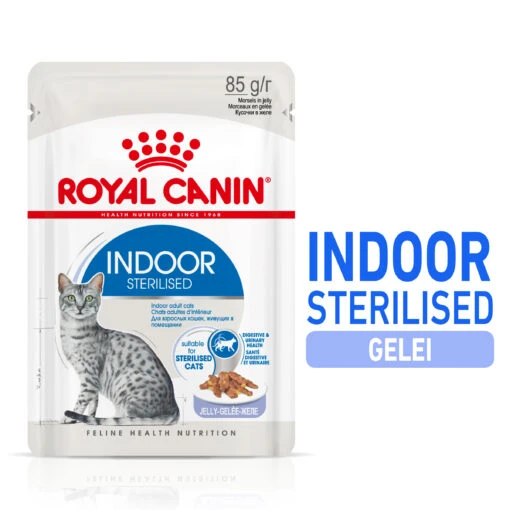 Royal Canin Indoor Sterilised In Jelly Kattenvoer 12x85g -Dierenwinkel Royal Canin Indoor Sterilised Jelly Kat NL 1