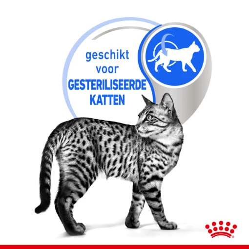 Royal Canin Indoor Sterilised In Jelly Kattenvoer 12x85g -Dierenwinkel Royal Canin Indoor Sterilised Jelly Kat NL 4