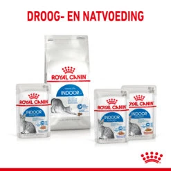 Royal Canin Indoor Sterilised In Jelly Kattenvoer 12x85g -Dierenwinkel Royal Canin Indoor Sterilised Jelly Kat NL 6