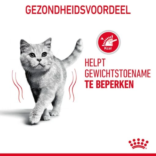 Royal Canin Light Weight Care Natvoer In Gravy Kattenvoer 12x85g -Dierenwinkel Royal Canin Light Weight Care Gravy Kat NL 07