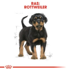 Royal Canin Rottweiler Puppy Hondenvoer 12kg -Dierenwinkel Royal Canin Rottweiler Puppy NL 6