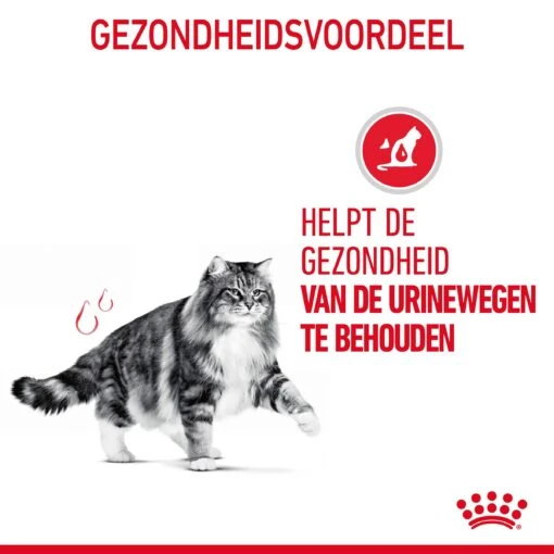 Royal Canin Urinary Care Natvoer In Gravy Kattenvoer 12x85g -Dierenwinkel Royal Canin Urinary Care Gravy Kat NL 09 1