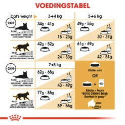 Royal Canin British Shorthair 34 - Kattenvoer - 4kg -Dierenwinkel a4363570baf82f21217761fdd4296e3ab9b6efa1ffe95d74cb854420bb592bb1 1