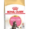 Royal Canin Maine Coon Kitten Kat 10kg -Dierenwinkel a6ec186a7bdc202804ce400511b29c7d1eeb20c9c883cc729ed45f7b3892251a