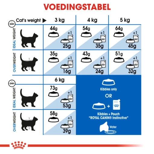 Royal Canin Indoor Long Hair Kattenvoer 2kg -Dierenwinkel ad11c344a3e597c11c946743fe17e2247535be5fc496e66e7a85d328671c6de0 1