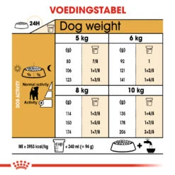 Royal Canin Jack Russell Adult - Hondenvoer - 3kg -Dierenwinkel ad90d20e8be659a05b8d6ea3d9c84a4959dbd6443649feb4970eb79fc6868336 1