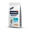 Affinity Advance 2x10kg Advance Kitten Kattenvoer -Dierenwinkel advance kitten high protein kattenvoer