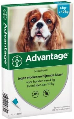 Advantage 100 Anti Vlooien En Teken Druppels Hond 4 10 Kg 4 Pipetten 1, 0 Ml -Dierenwinkel advantage 100 anti vlo hond 4 10 kg 4 pip 1 0 ml 21374