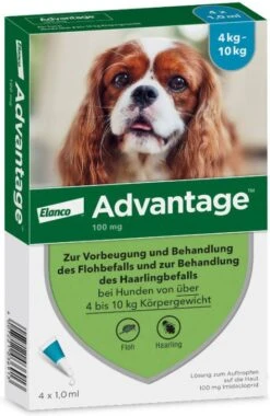 Advantage 100 Anti Vlooien En Teken Druppels Hond 4 10 Kg 4 Pipetten 1, 0 Ml -Dierenwinkel advantage 4 pipetten 100 voor honden van 4 10kg 107791