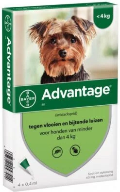 Advantage 2 X 4 Pipetten &#xC2, &#xAE, 40 Voor Honden Van Minder Dan 4 Kg Dubbelpak -Dierenwinkel advantage 40 anti vlo hond tot 4 kg 4 pipetten 04 ml 45187