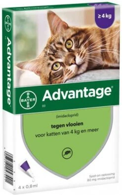 Advantage 2 X 4 Pipetten &#xC2, &#xAE, 80 Voor Katten Vanaf 4 Kg Dubbelpak -Dierenwinkel advantage 80 anti vlo kat vanaf 4 kg 4 pipetten 08 ml 43701