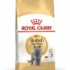 Royal Canin British Shorthair 34 - Kattenvoer - 4kg -Dierenwinkel afc19574b28a648079ac9c534146bd06d85f42ca56dfc77351cff66cf53fdce9