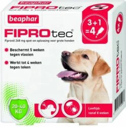 Beaphar Fiprotec Dog 3+1 Pip Anti Vlooien En Tekenmiddel 20 40kg Vanaf 12 Maanden -Dierenwinkel beaphar fiprotec 20 40 kg 3 1 stuks 50402