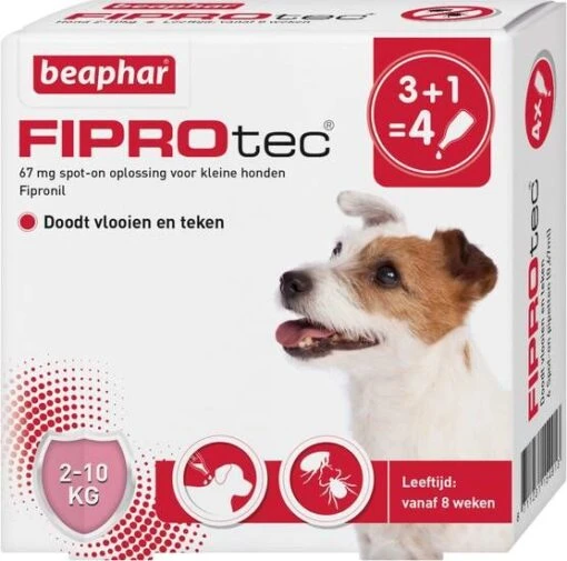 Beaphar Fiprotec Dog 3+1 Pip Anti Vlooien En Tekenmiddel 2 10kg 2 10kg -Dierenwinkel beaphar fiprotec dog 31 pip anti vlooien en tekenmiddel 2 10kg 2 10kg 29439