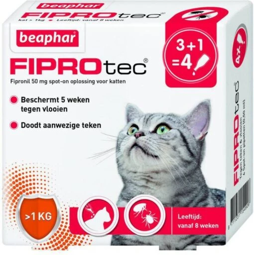 Beaphar Fiprotec Cat Anti Vlooien En Tekenmiddel 3+1 Pip >1kg -Dierenwinkel beaphar fiprotec kat 3 1 stuks 33541