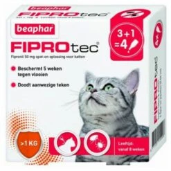 Beaphar Fiprotec Cat Anti Vlooien En Tekenmiddel 3+1 Pip >1kg -Dierenwinkel beaphar fiprotec kat 3 1 stuks 41629