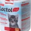 Beaphar Lactol Kitty Milk Melkvervanging 500 G -Dierenwinkel beaphar lactol kitty milk melkvervanging 500 g 29528