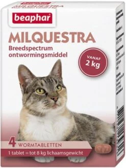 Beaphar Milquestra Ontwormingsmiddel Voor De Kat(tabletten)12 Tabletten -Dierenwinkel beaphar milquestra wormmiddel kat 2 12kg 4 tab 25688