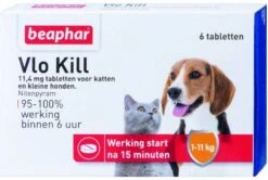 Beaphar 2x Vlo Kill Anti Vlooien Tabletten Hond 1 11 Kg 6 Tabletten -Dierenwinkel beaphar vlo kill kleine hond kat 6 tabletten 45176