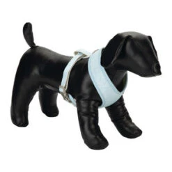 Beeztees Puppy Tuig - Blauw - Maat M -Dierenwinkel beeztees puppy tuig blauw maat m 63833 0300 none