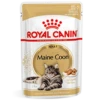 Royal Canin Maine Coon Adult Natvoer Kat 48x 85g -Dierenwinkel c0dc1d655f4be394e5a761412039a16c8fc1d9261de7484ba62044c0ef0db58c