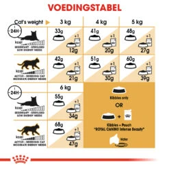 Royal Canin Siamese 38 - Kattenvoer - 4kg -Dierenwinkel c34745f78a51d5f31623226b4ca1141d392d19bbeb2838cf5a33583de24ae12b 1