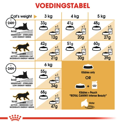 Royal Canin Siamese 38 - Kattenvoer - 4kg -Dierenwinkel c34745f78a51d5f31623226b4ca1141d392d19bbeb2838cf5a33583de24ae12b