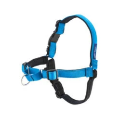 PetSafe Easywalk Hondenharnas Deluxe - Blauw - S -Dierenwinkel easywalk tuigje deluxe blauw s 50223 0300 none