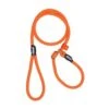 Rebel Petz Trainingslijn - Large - Orange -Dierenwinkel file 101