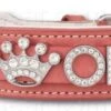 Hondenhalsband Met Naam Medium Pink -Dierenwinkel file 14