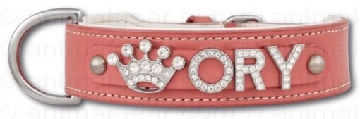 Hondenhalsband Met Naam Medium Pink -Dierenwinkel file 14