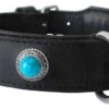 Hondenhalsband Antique Turquoise -Dierenwinkel file 18