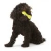 Zogoflex Hurley Dog Bone - Mini (XS) - Lime -Dierenwinkel file 189