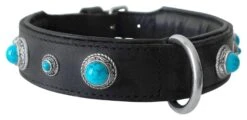 Hondenhalsband Antique Turquoise -Dierenwinkel file 19