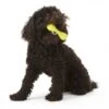 Zogoflex Hurley Dog Bone - Large - Lime -Dierenwinkel file 210