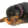 Zogoflex Tux Treat Toy - Orange -Dierenwinkel file 222