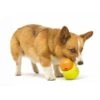 Zogoflex Toppl Treat Toy - Large - Lime -Dierenwinkel file 251