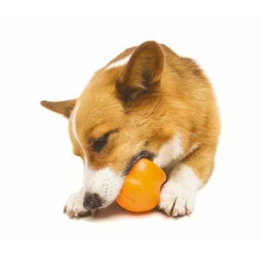 Zogoflex Toppl Treat Toy - Small - Orange -Dierenwinkel file 256