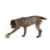 Zogoflex Toppl Treat Toy - Small - Aqua -Dierenwinkel file 258